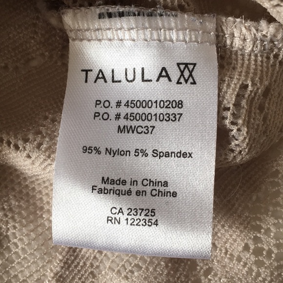 Sheer / lace Talula tank from Aritzia - Picture 3 of 3